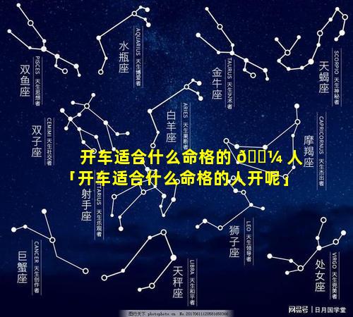 开车适合什么命格的 🌼 人「开车适合什么命格的人开呢」